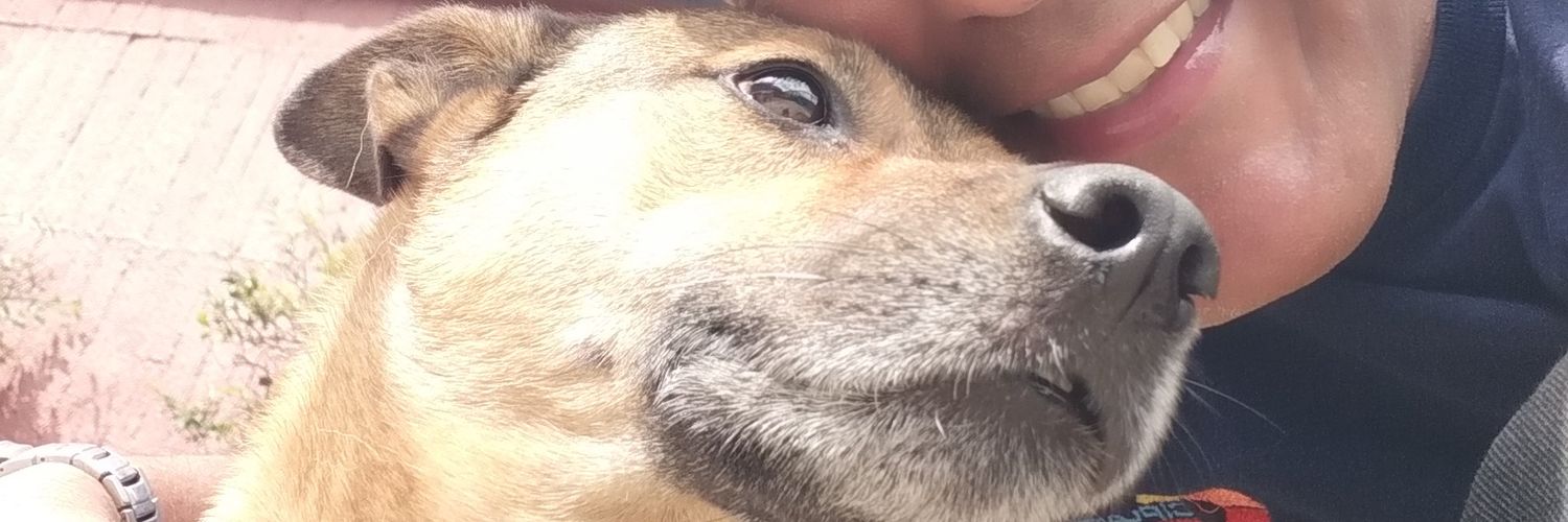 Rdolfjib's profile banner image