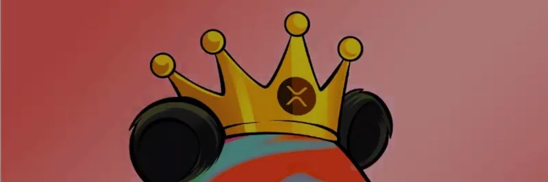 Yogi_hap_hap's profile banner image