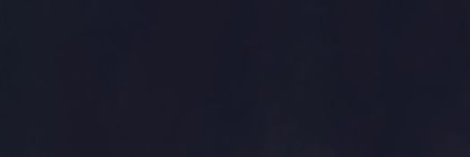 silly persian kitty banner