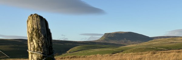 dotterel Profile Banner