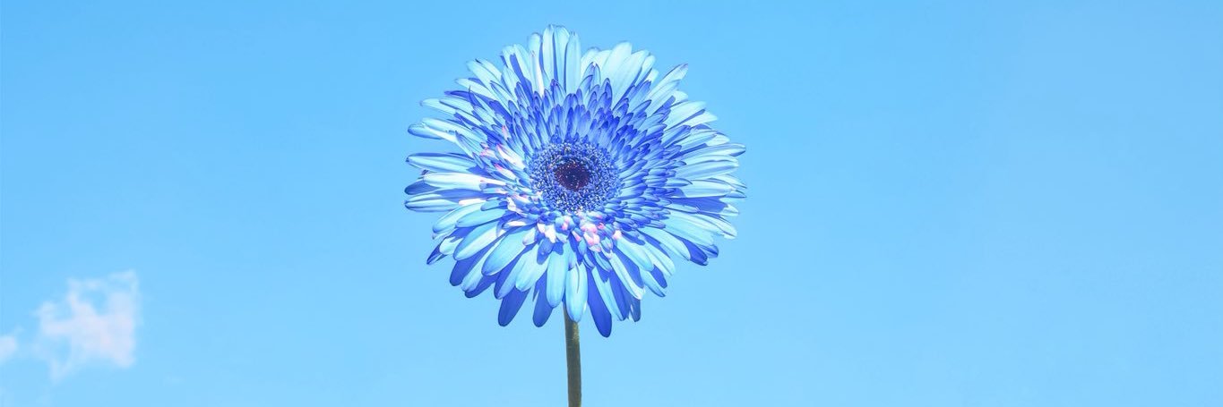 みん☺︎2m🦕🤍⋆͛ banner