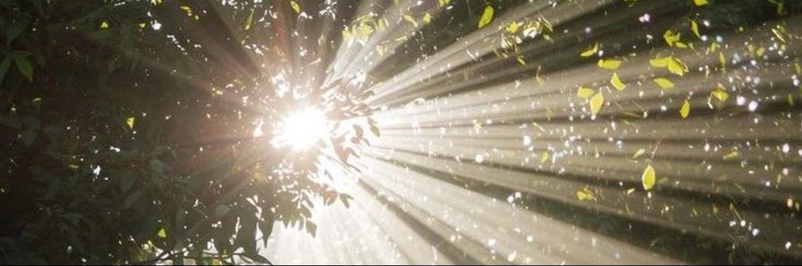 ﾟ * ✧ * ﾟ banner