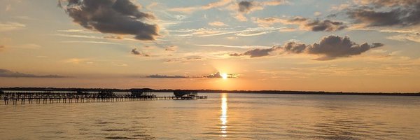 _christena_t Profile Banner