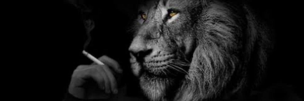 lion_965's profile banner image