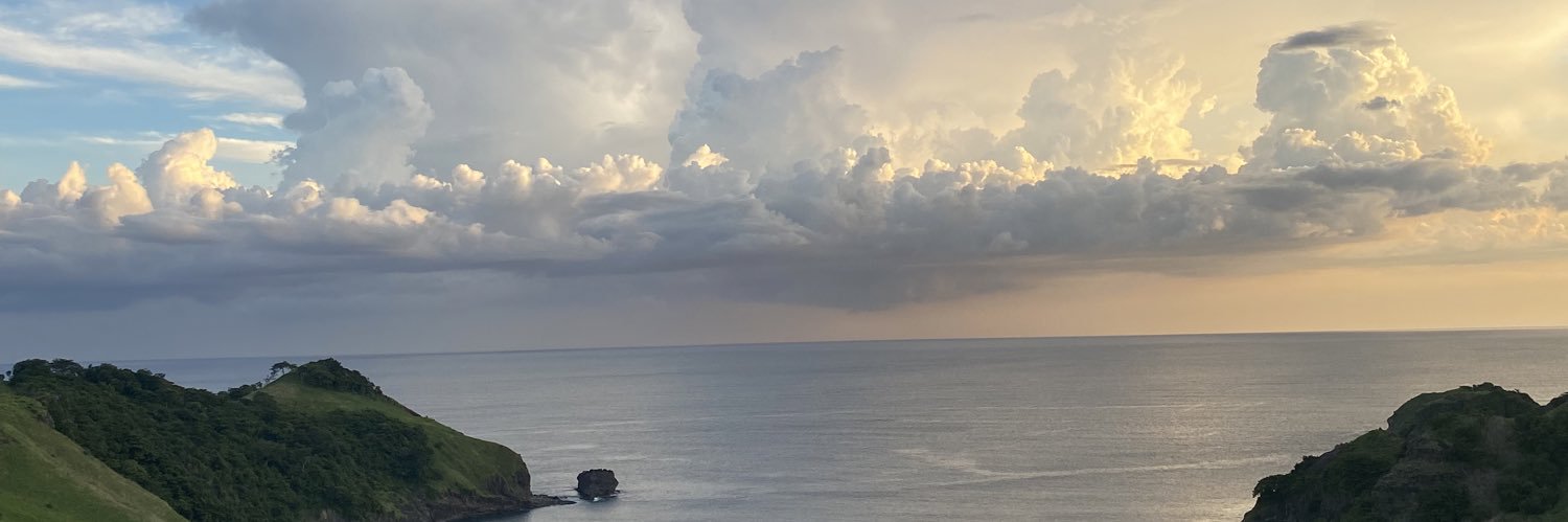 bignzls's profile banner image