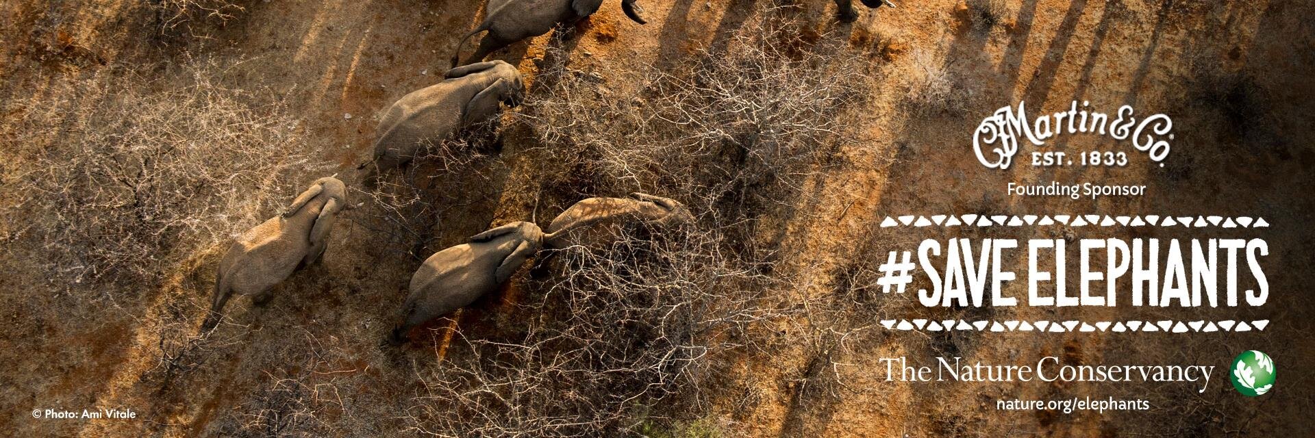 Martin🎸Collins banner