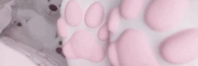Roufi_rr3's profile banner image