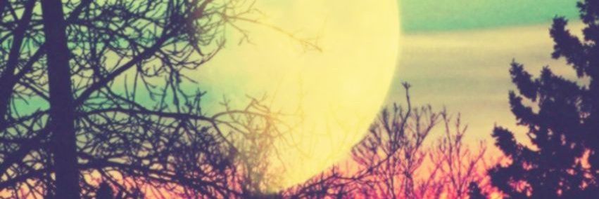 آدِن☘ banner