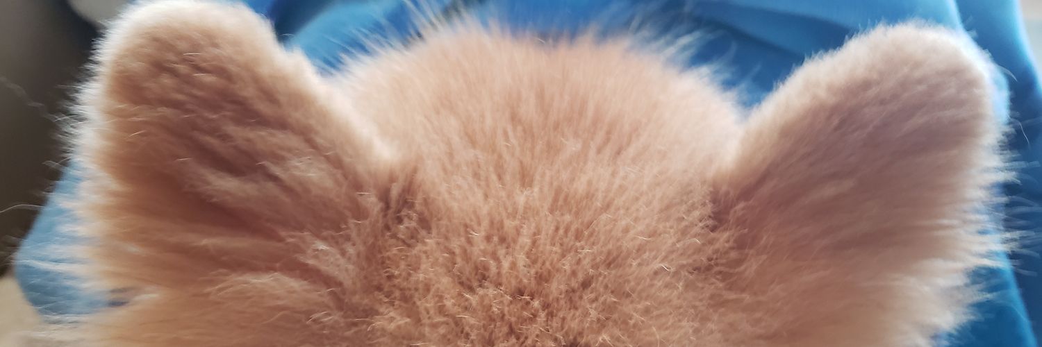 tamaami_63's profile banner image