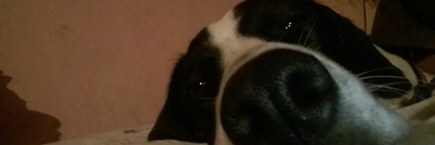 yazceballoss's profile banner image