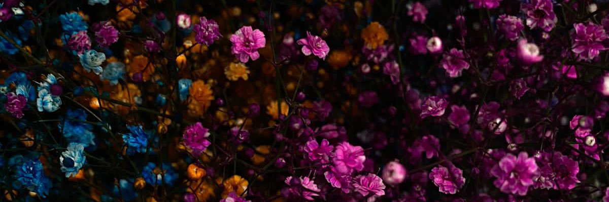 SamsaraTerminel's profile banner image