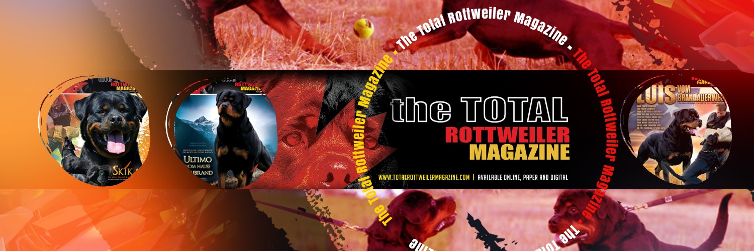 TTRMagazine's profile banner image