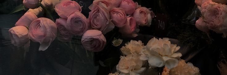 nacha_c_v's profile banner image