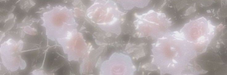riecawtpj6's profile banner image