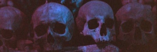 _stargazer__'s profile banner image