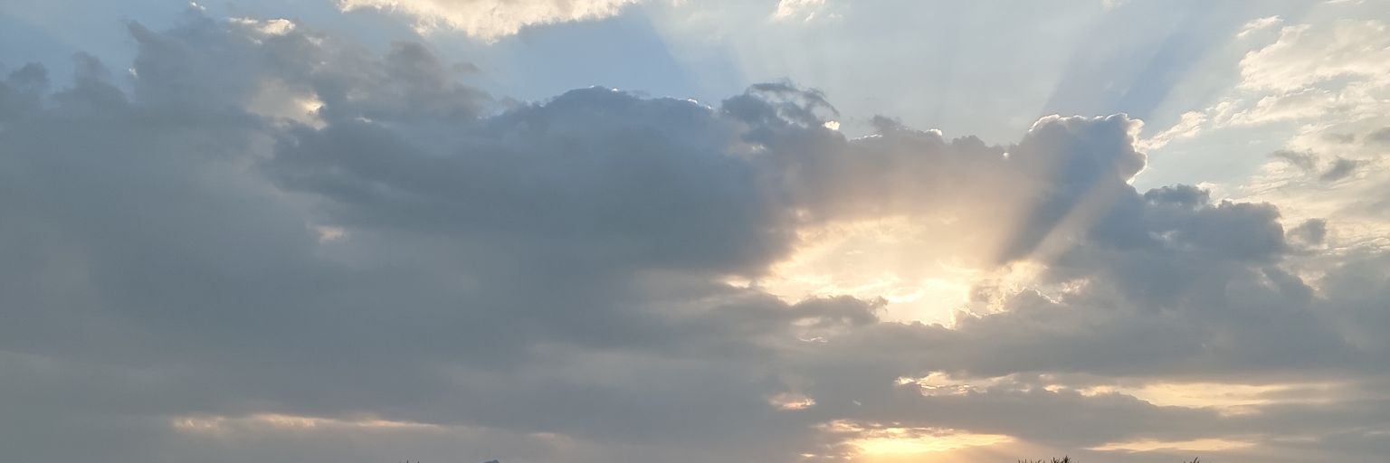 omnaser47669082's profile banner image
