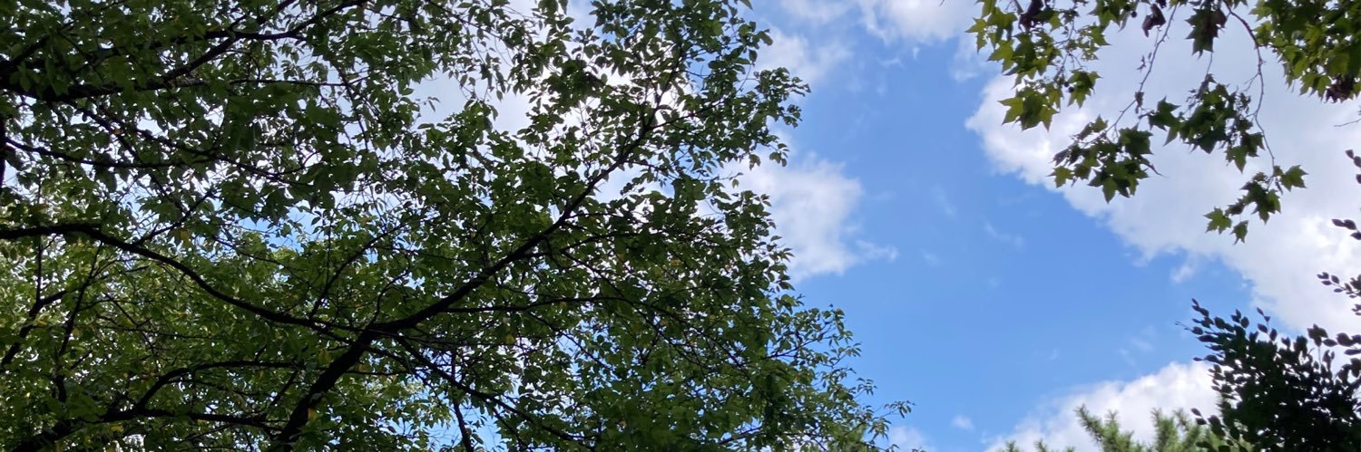 ロク banner