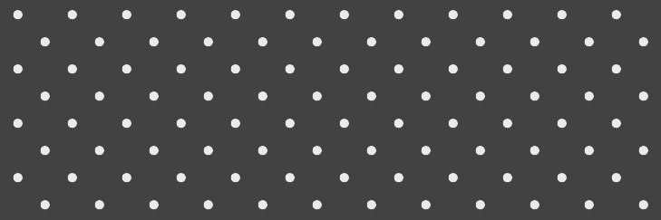 𝓵ily. banner