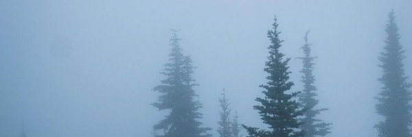 veladays Profile Banner