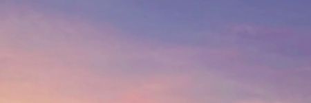 A. banner