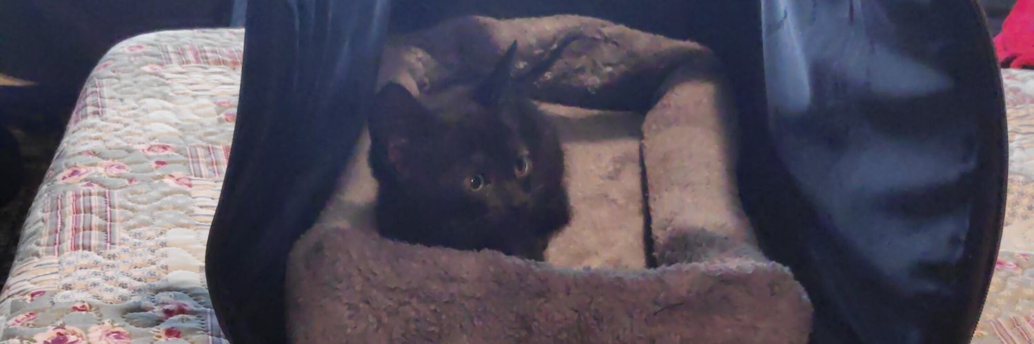 Redes 2.0 🔻 banner