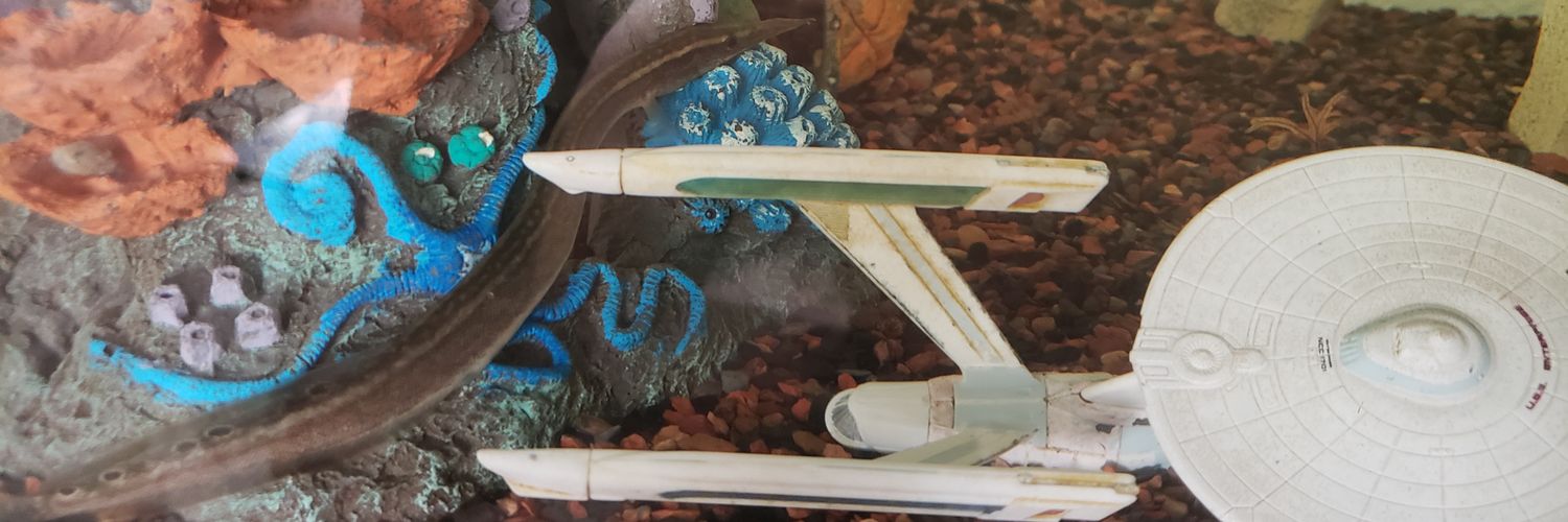 JoeDePintoWA's profile banner image