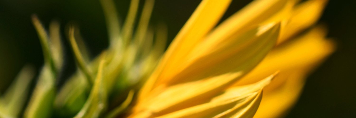 TheJanetAScott's profile banner image
