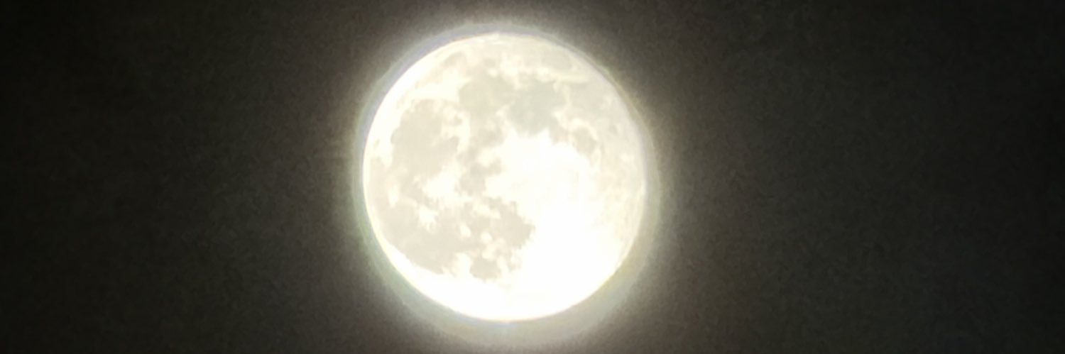 ChenA23481's profile banner image