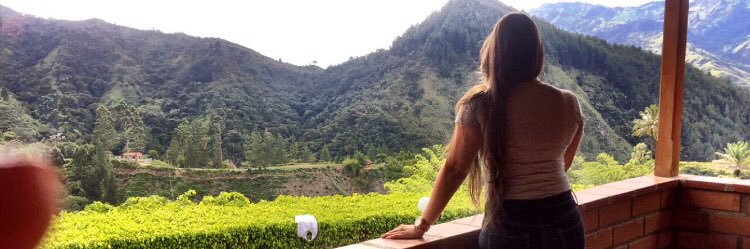 zullyDajil's profile banner image