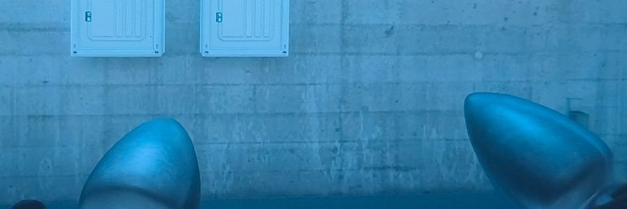 zizi banner