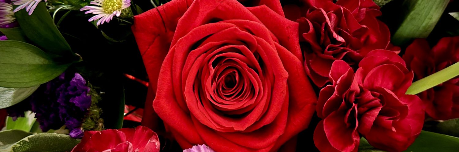laughing_willow's profile banner image