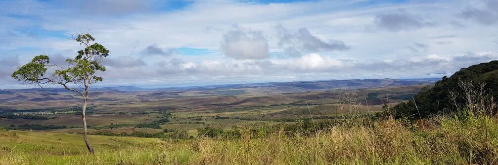 César Vivas B banner