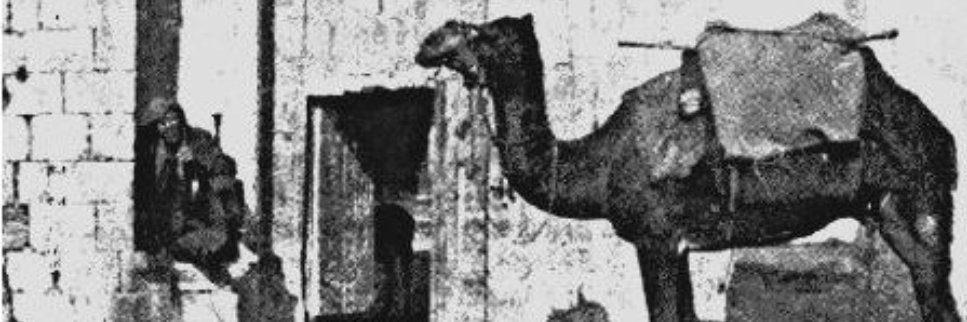 garconmiga's profile banner image