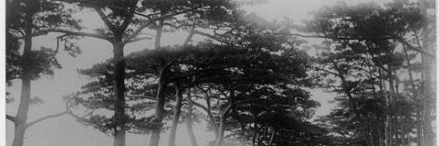 jun_sakima's profile banner image