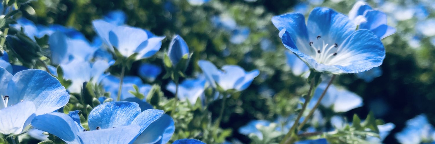 kiraaaa05's profile banner image