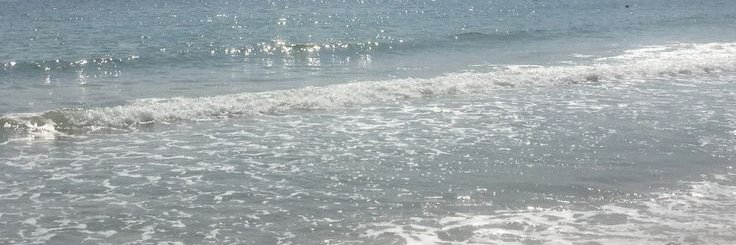 s banner