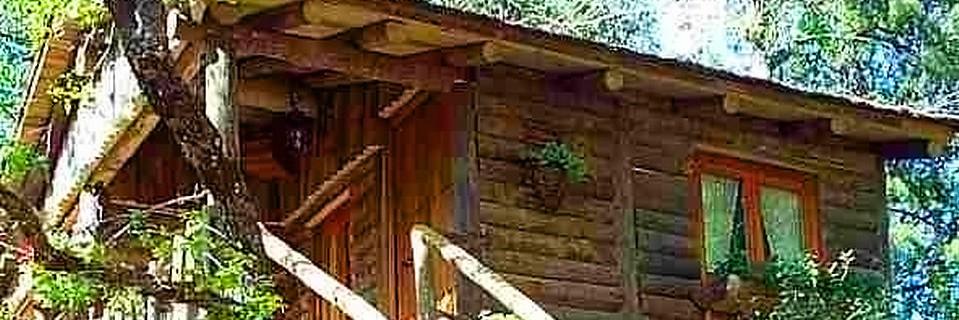 José Antonio banner