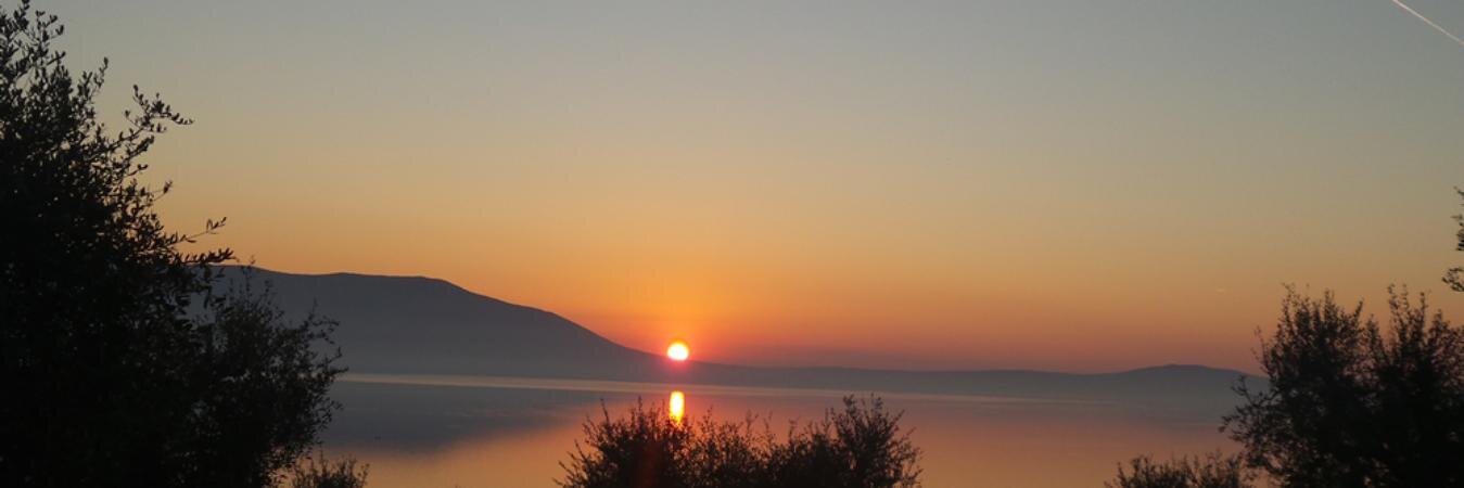 dinunzioida's profile banner image