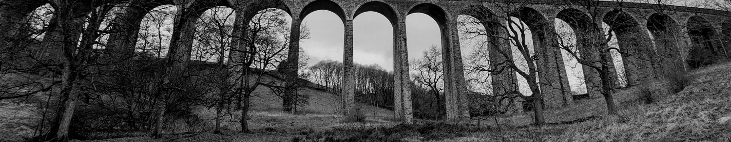 Dermot Bolton banner