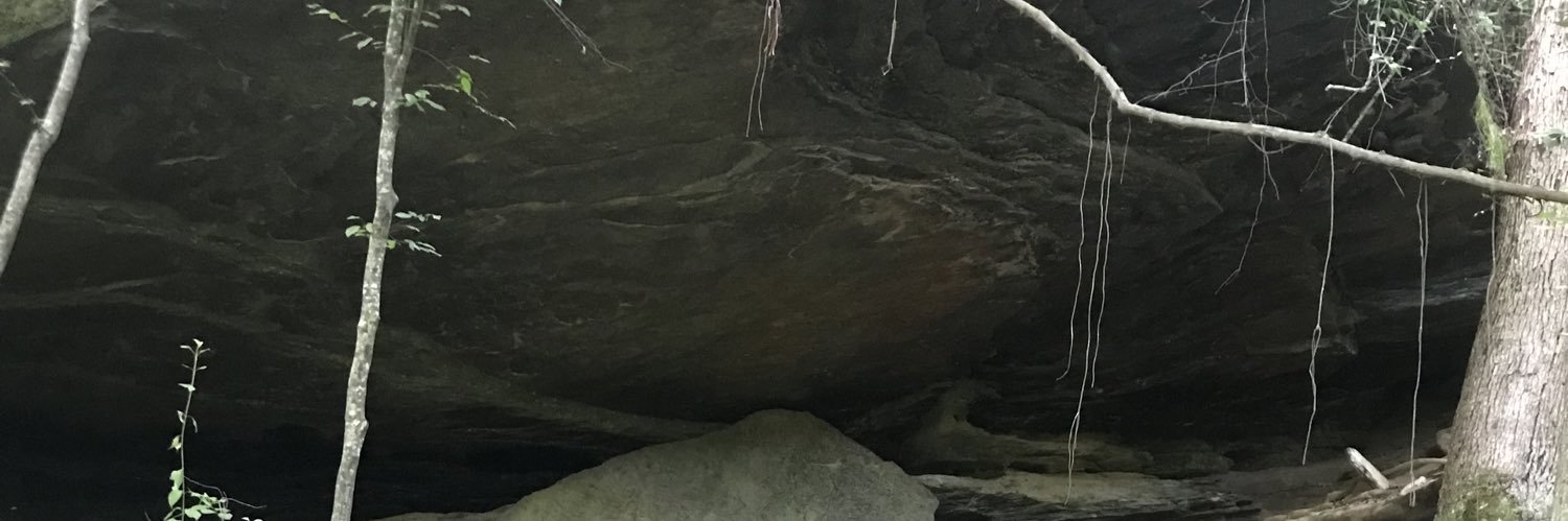 carlosluisms2's profile banner image
