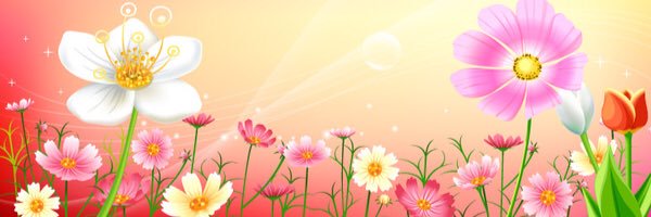 ooAllyoo's profile banner image