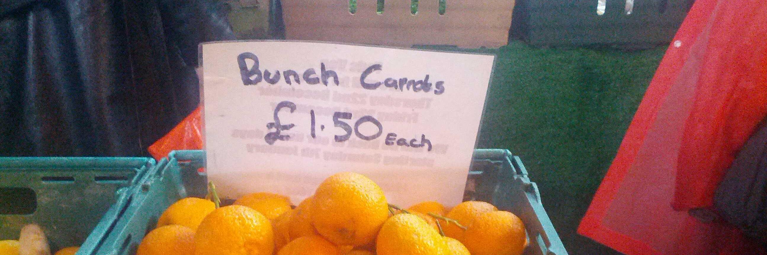 Fattori Blanc banner