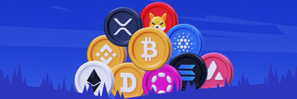 CryptoNewb banner