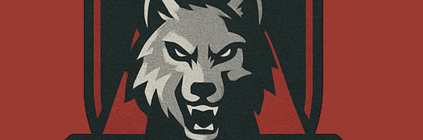 ALPHA WOLVES FC (AllStars) (@AlphaWolvesFC) / Posts / X
