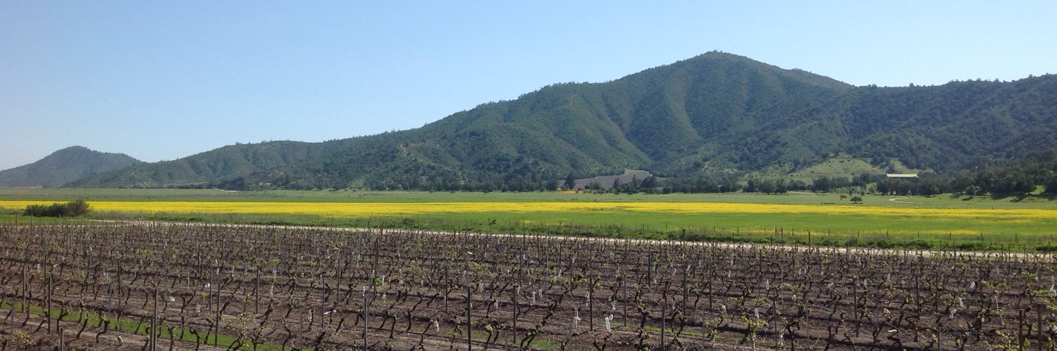 sandalafts's profile banner image