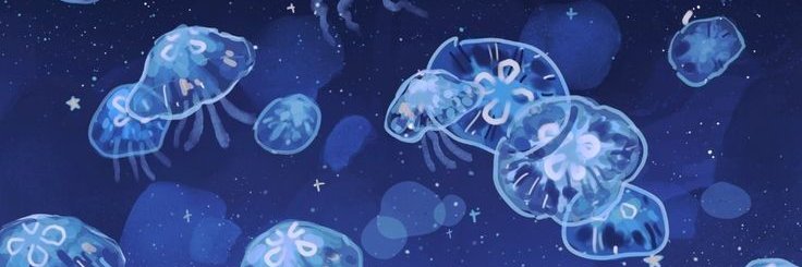 ☆ vela ☆ banner