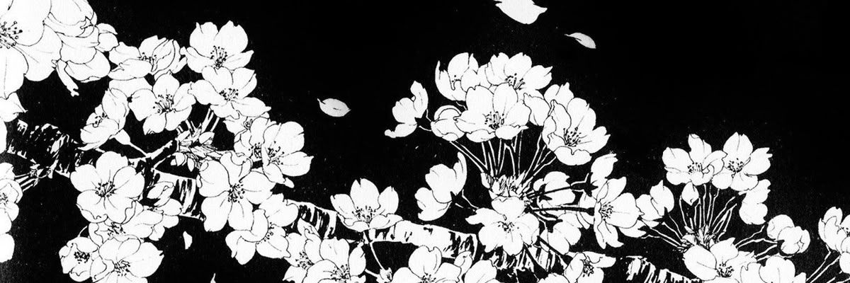 voidthecool's profile banner image