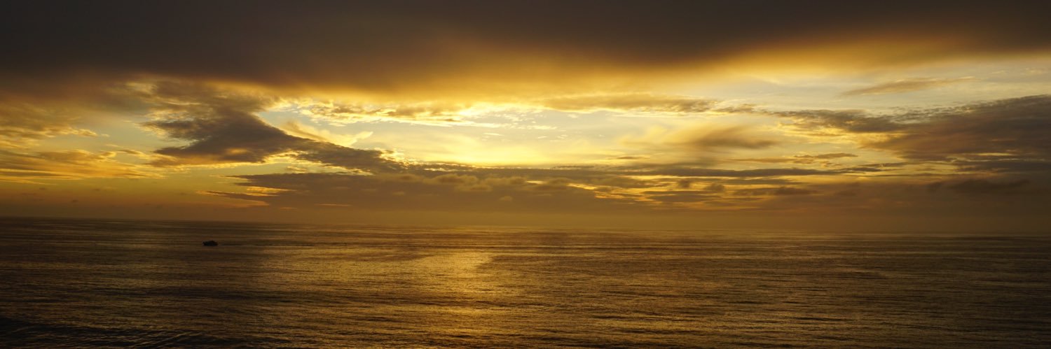 sirrybirry's profile banner image