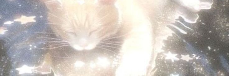 Bottom10Twinkkk's profile banner image
