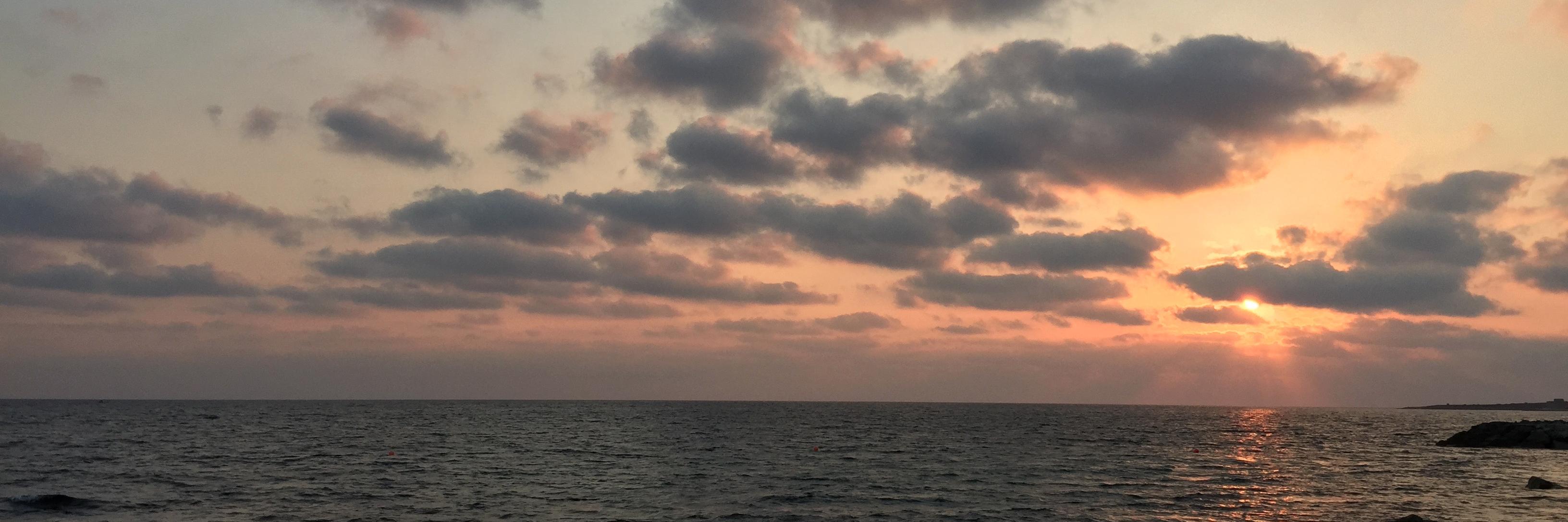 Zosaphine's profile banner image